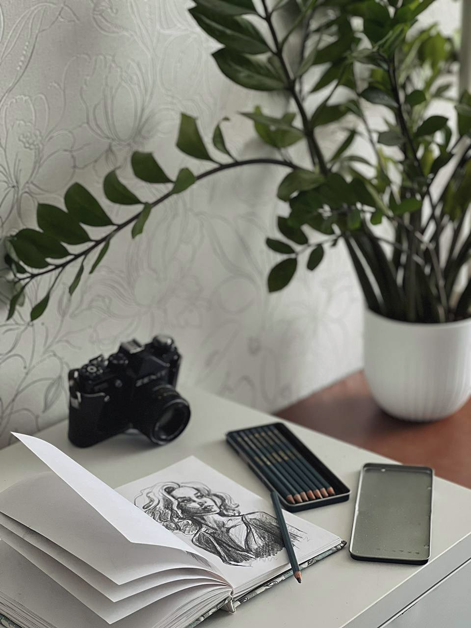 Иллюстрация. Фотограф Ольга Сальманович