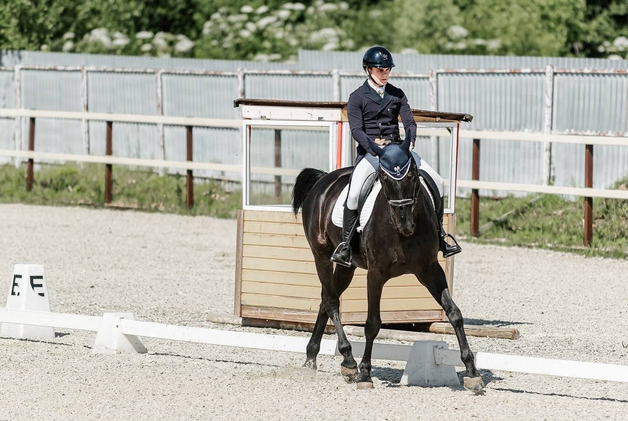 Чемпионат и Первенство Московской области по ВЫЕЗДКЕ, КСК «Эквиторус». Конный фотограф Куракина Дарья • Фотосессии с лошадьми