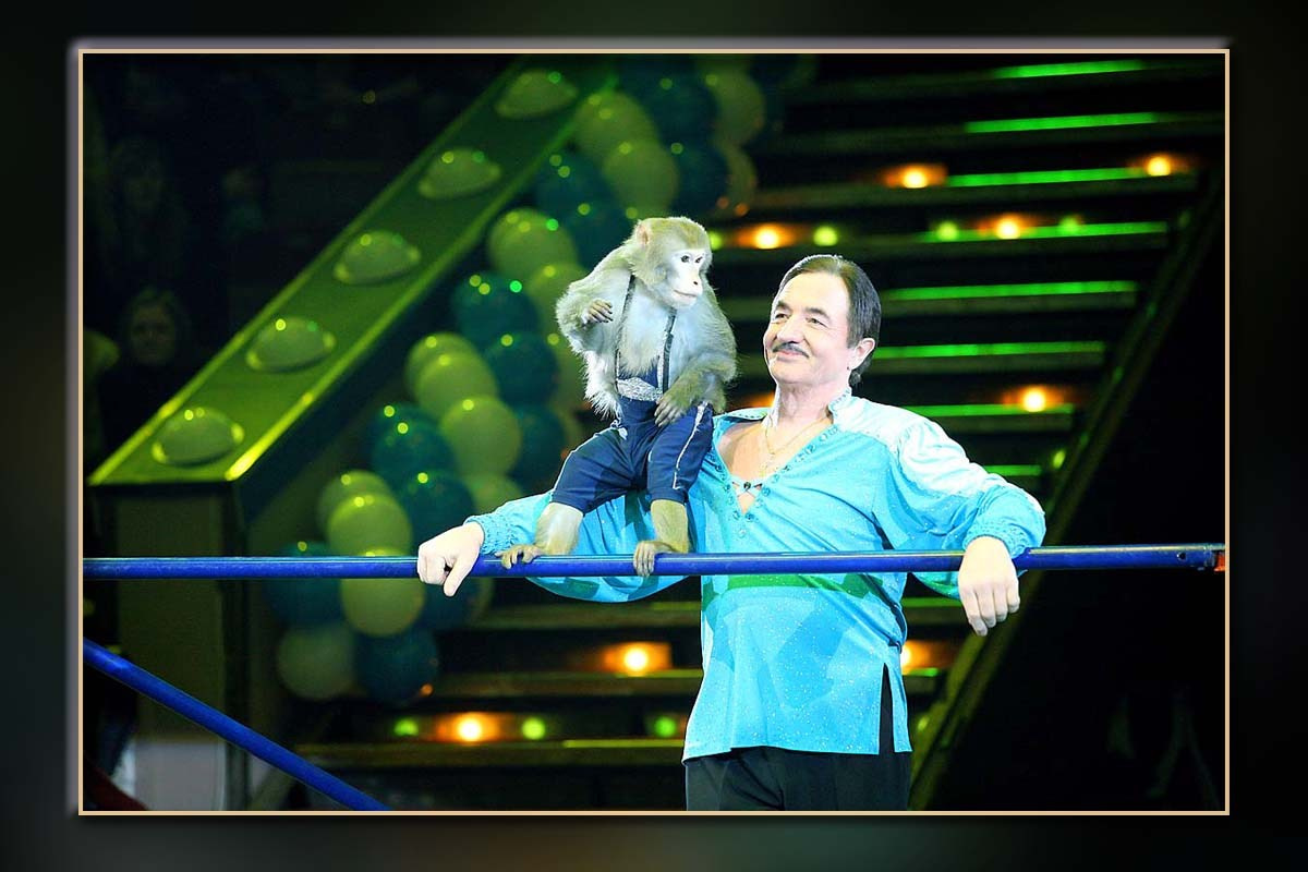 Корпоратив Дон-Строй Новый год. Skazka.wfolio.pro