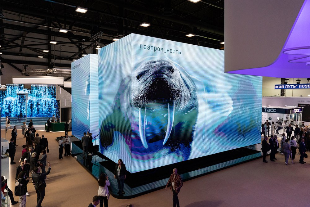 Репортажная фотосъёмка в СПб