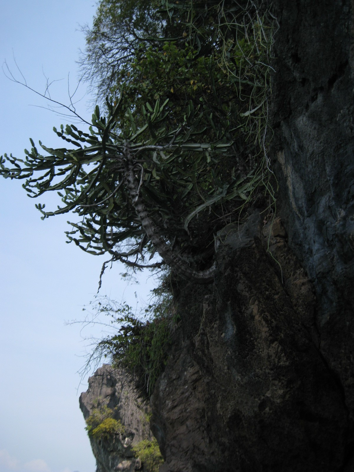 Тайланд 2012 г. Улица, люди, жизнь…