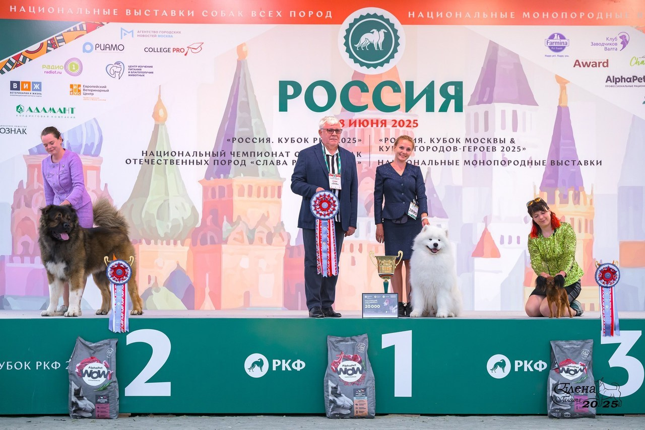 Отзывы. Фотограф анималист Елена Галдина г. Красноярск