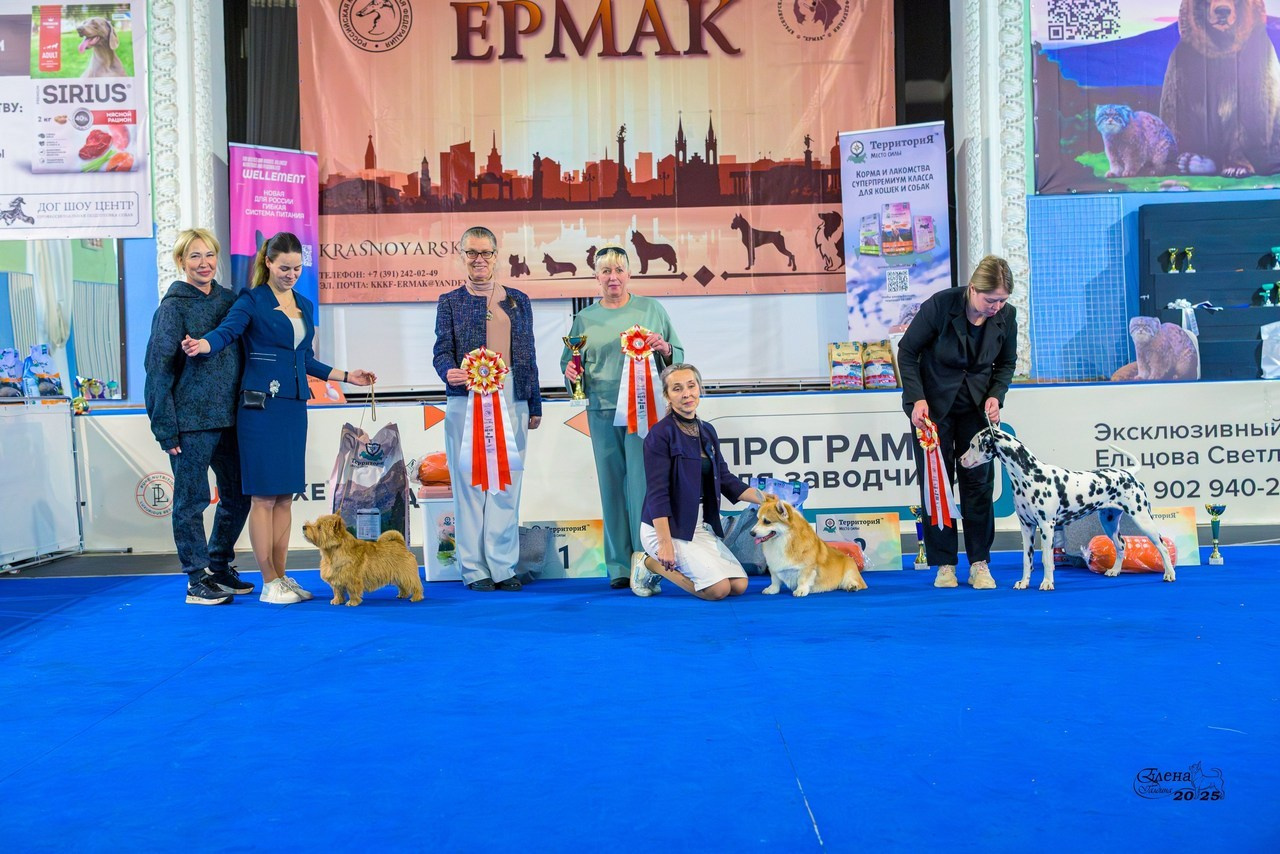 Отзывы. Фотограф анималист Елена Галдина г. Красноярск