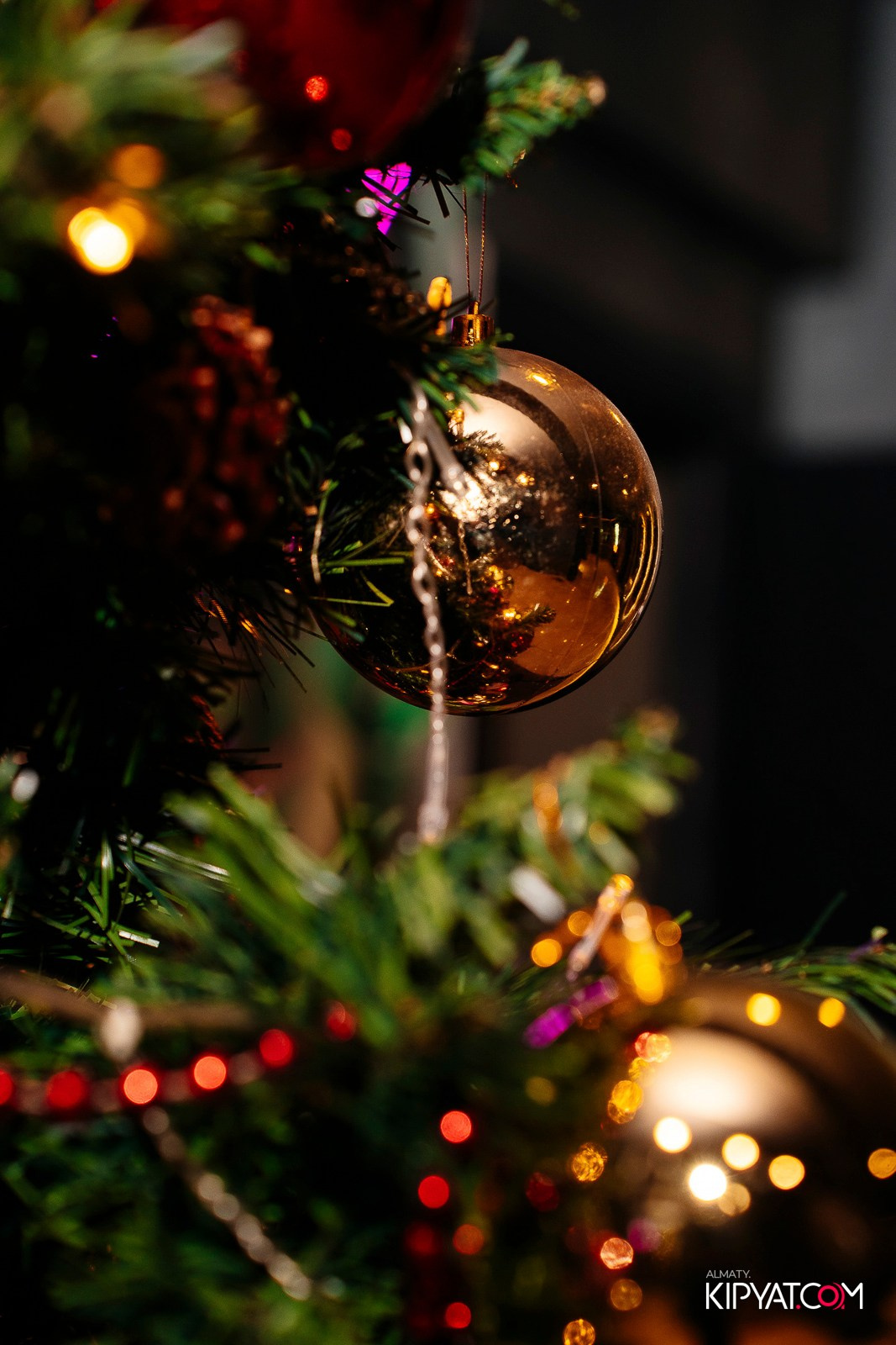 ROCK CRYSTAL. КИПЯТКОМ АЛМАТЫ! Фотосъемка мероприятий в Алматы