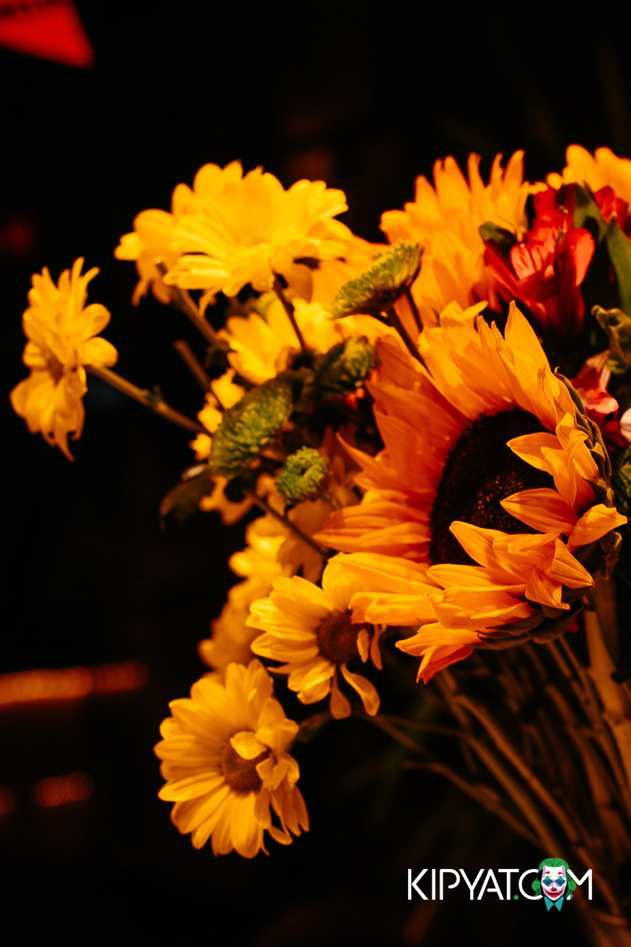 NOODLES. КИПЯТКОМ АЛМАТЫ!