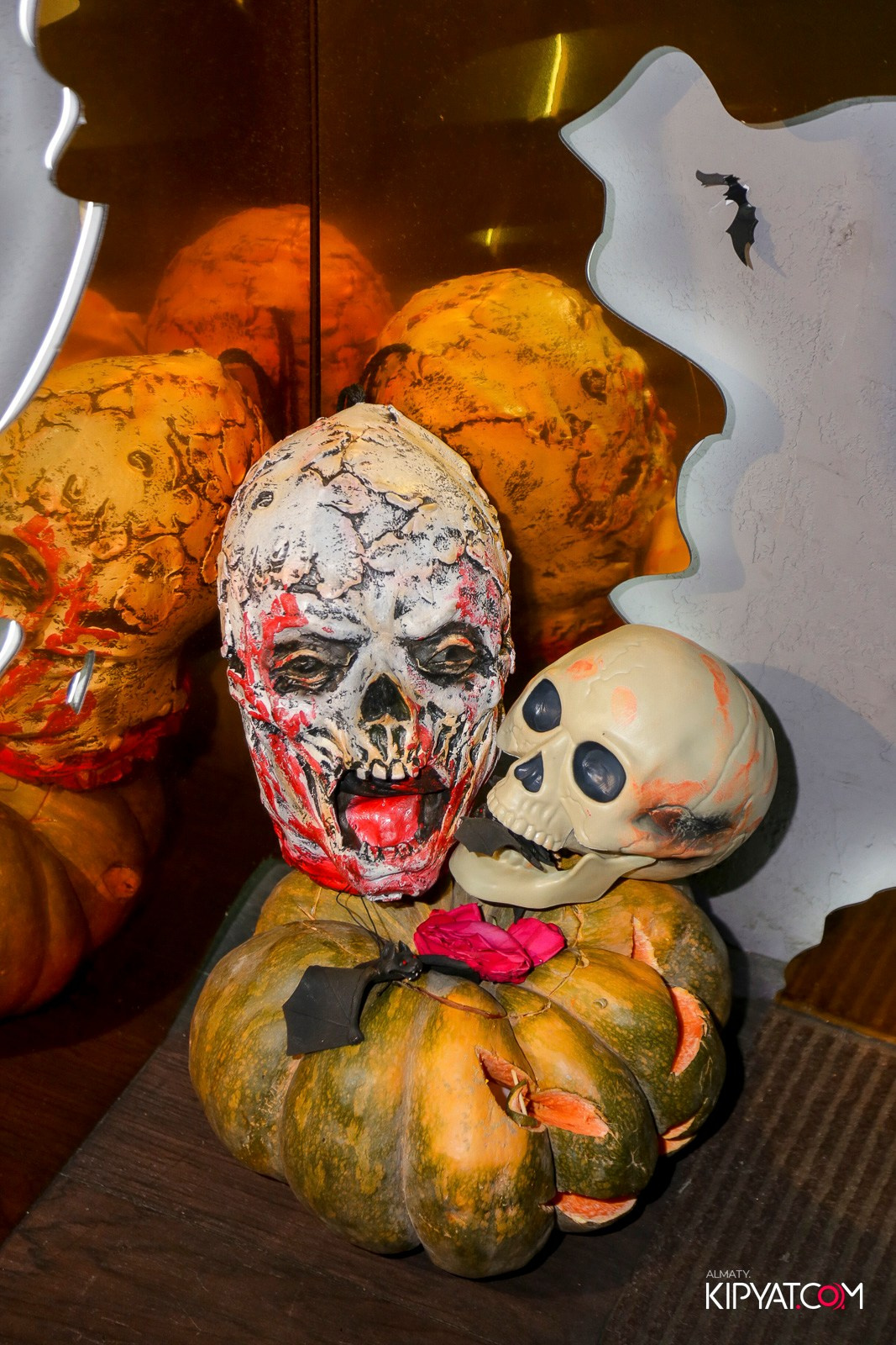 УХО И МЕДВЕДЬ НА САИНА. КИПЯТКОМ АЛМАТЫ!