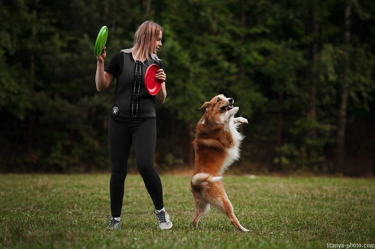 Чемпионат России по дог-фризби (2018, перенос со старого сайта). Фотограф собак, фотограф-анималист Аня Титова (Titanya). Москва