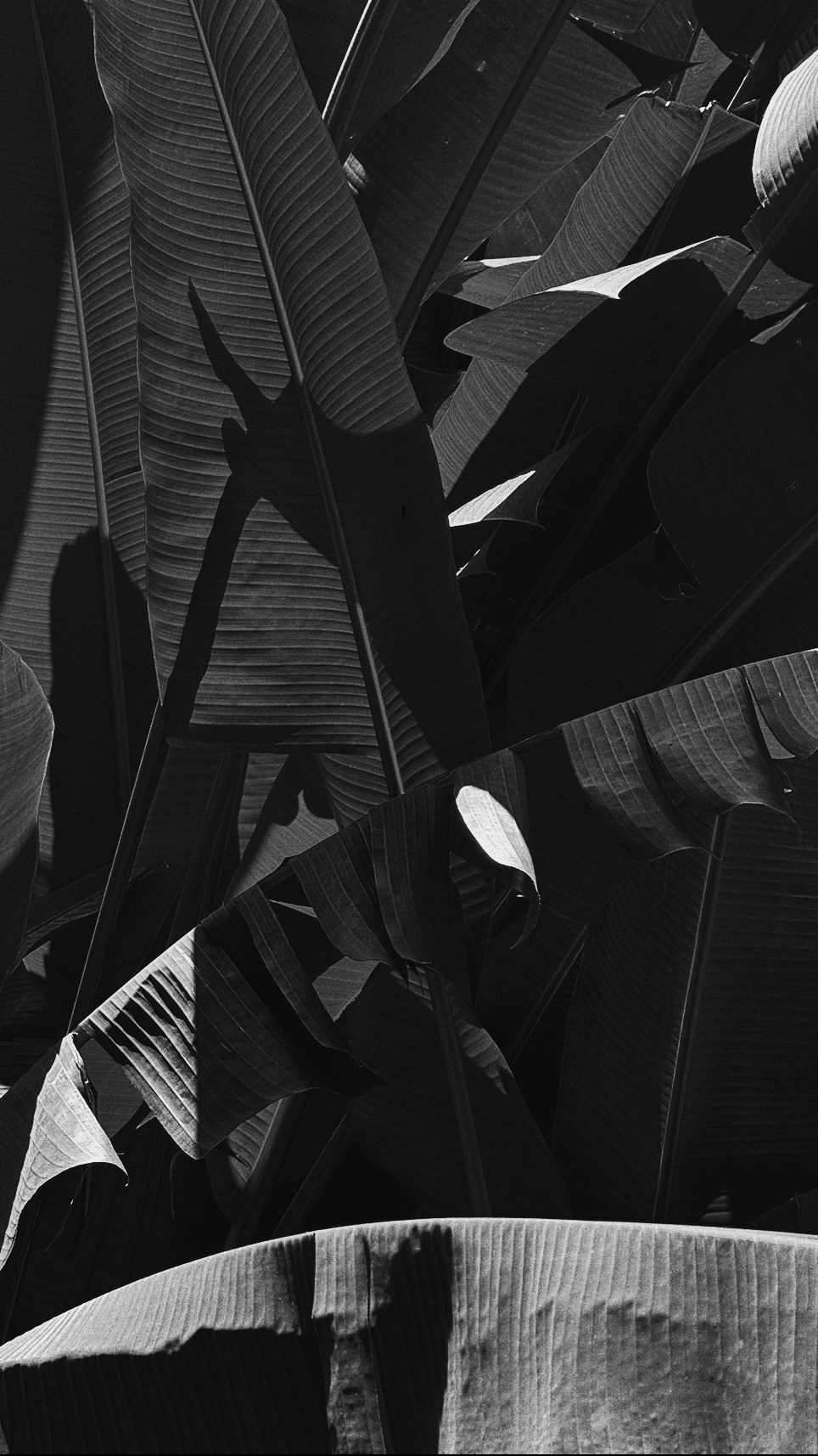 SOMEWHERE. Carolinetru