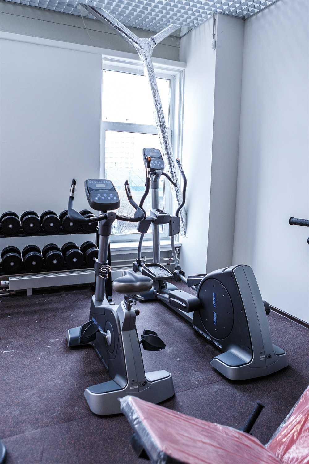 SPORTFORCE. Kasia Teesh. Фотограф и Видеограф. Сергиев Посад