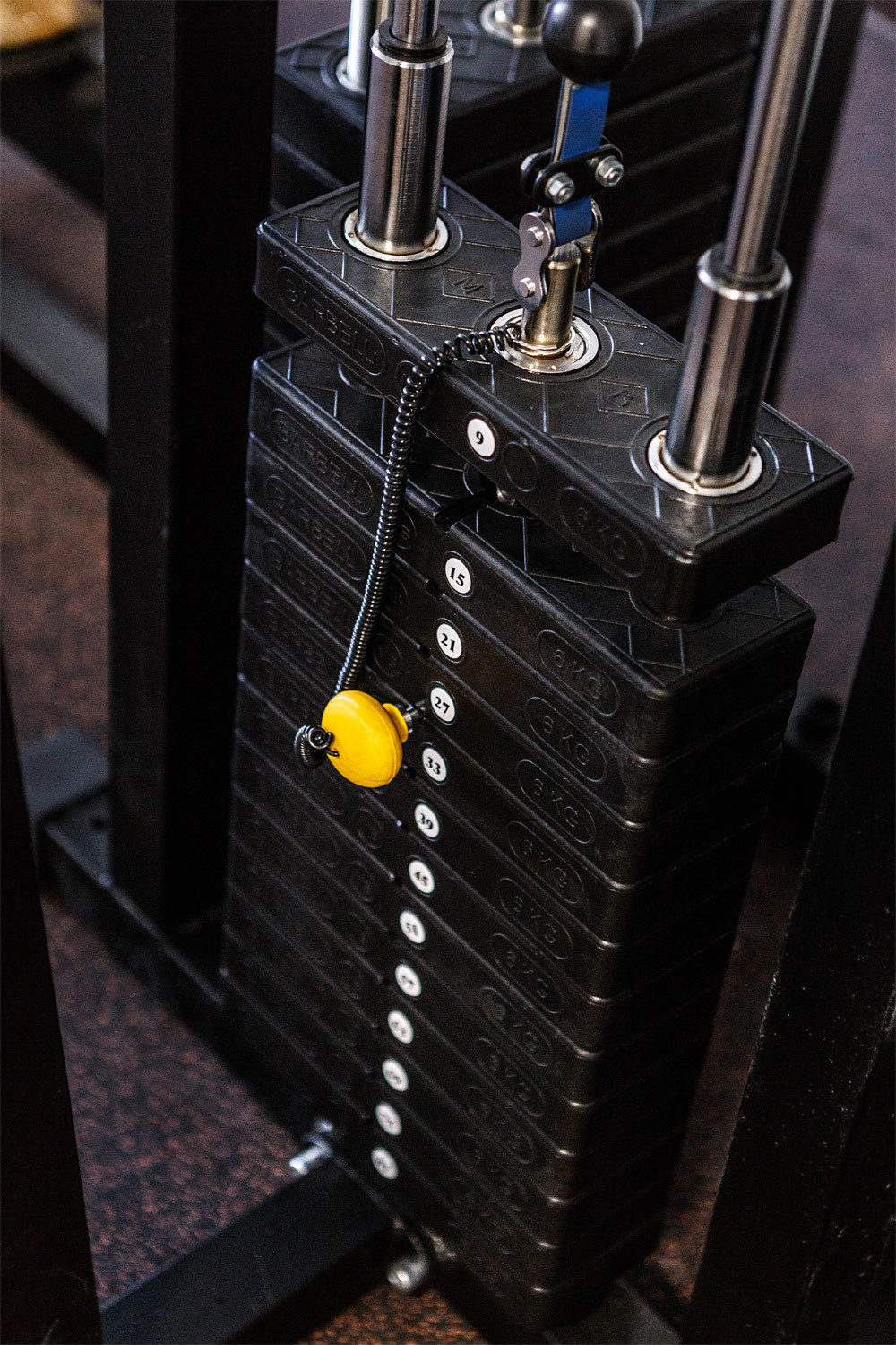 SPORTFORCE. Kasia Teesh. Фотограф и Видеограф. Сергиев Посад