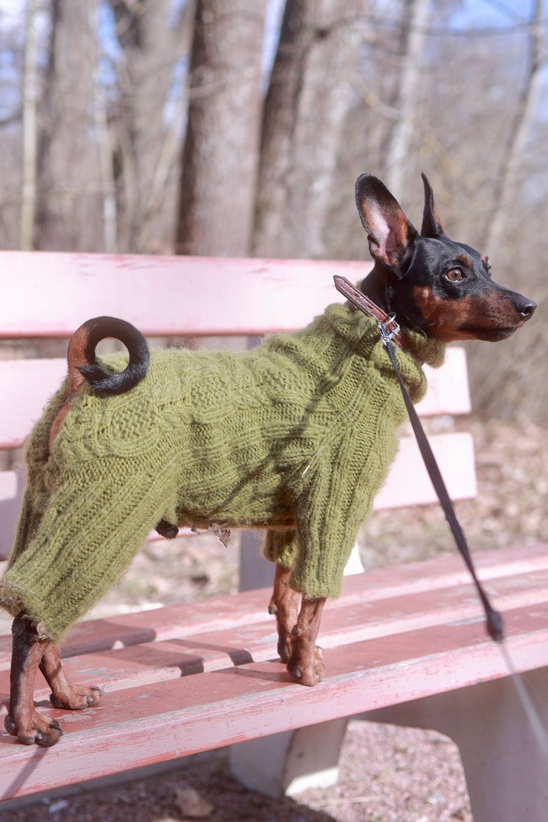 Животные. Художественная фотография