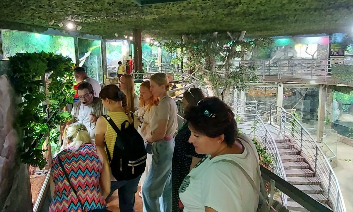 Тула | 19-20.08.2023. Галерея Фантим