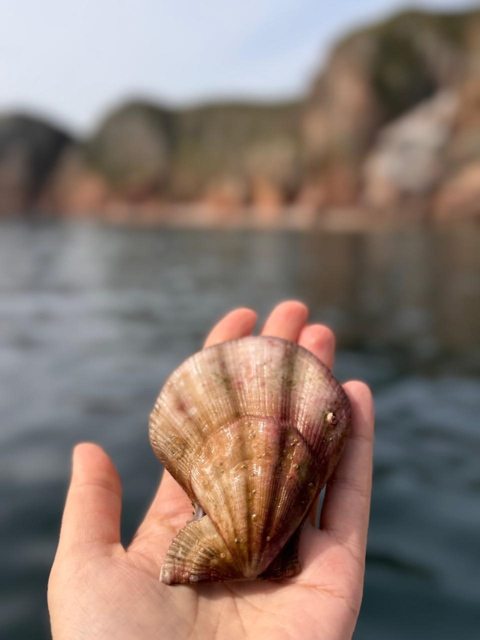 Владивосток 1 | 18-21.09.2025. Галерея Фантим