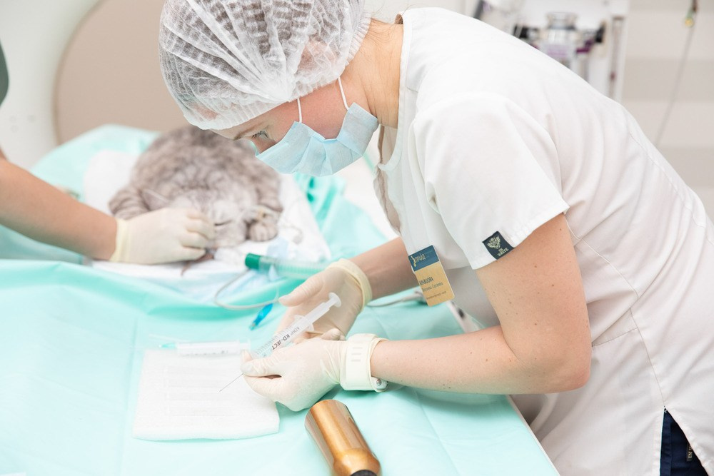 Рекламный и контент фотограф в СПб