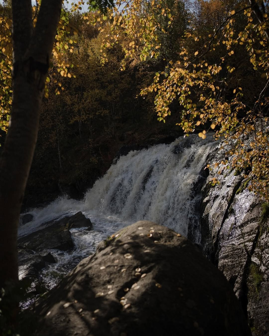 Мурманск | осень
