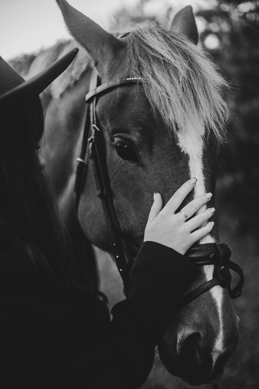 Индивидуальные. Портретный фотограф в Москве