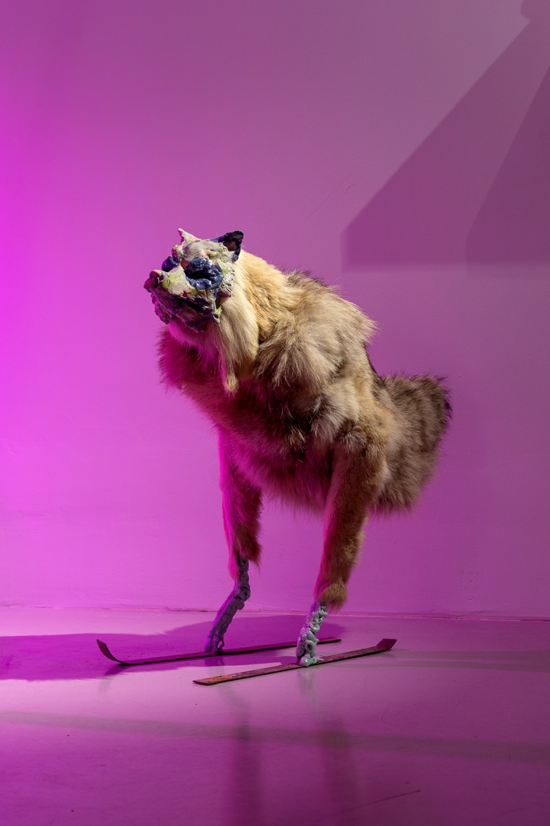 Exhibition. Alexey Bogolepov photography