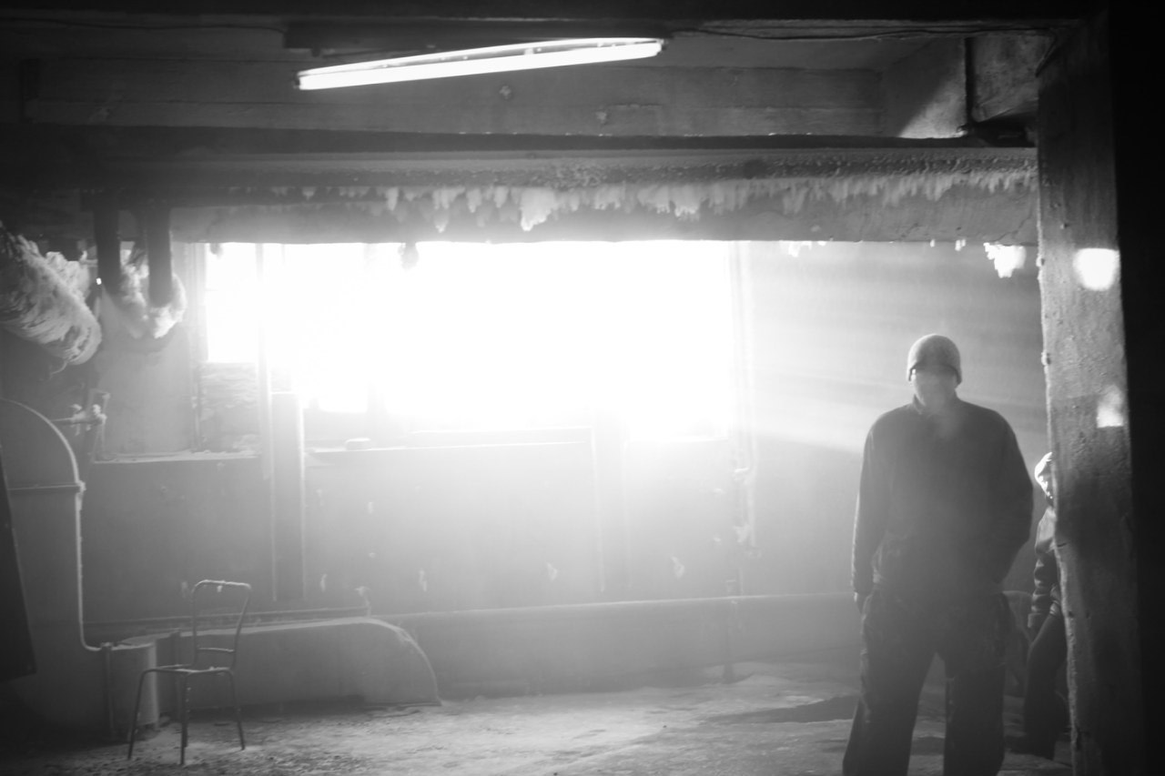 Репортажная фотосъемка. Профессиональный фотограф Иркутск — Максим Лядов