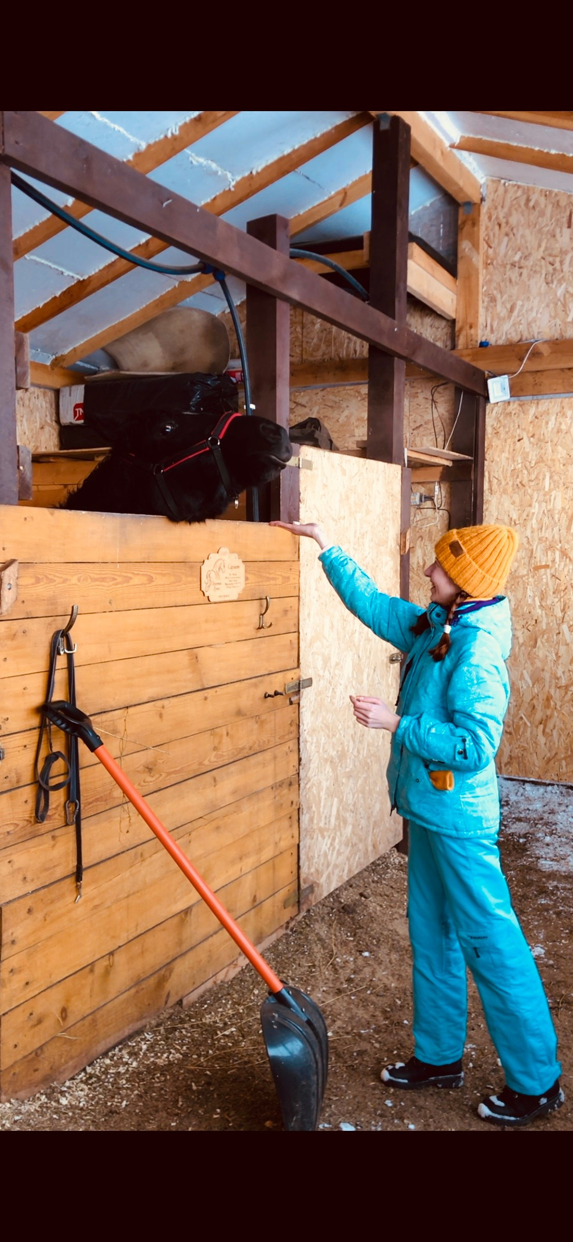 Декабрь. Семейный, Свадебный фотограф СПБ Питер— Романова Екатерина
