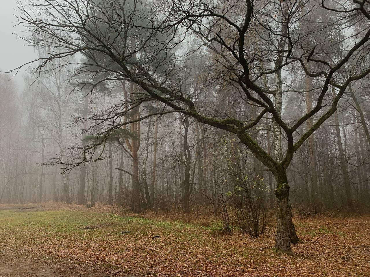 Personal projects. Фотограф Полина Треногина