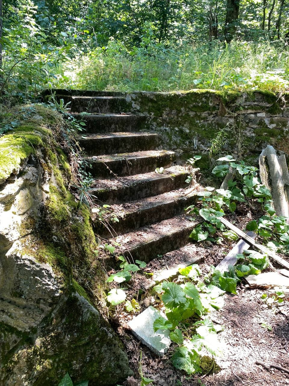 Александр Кузнецов — Эффект пульсации времени