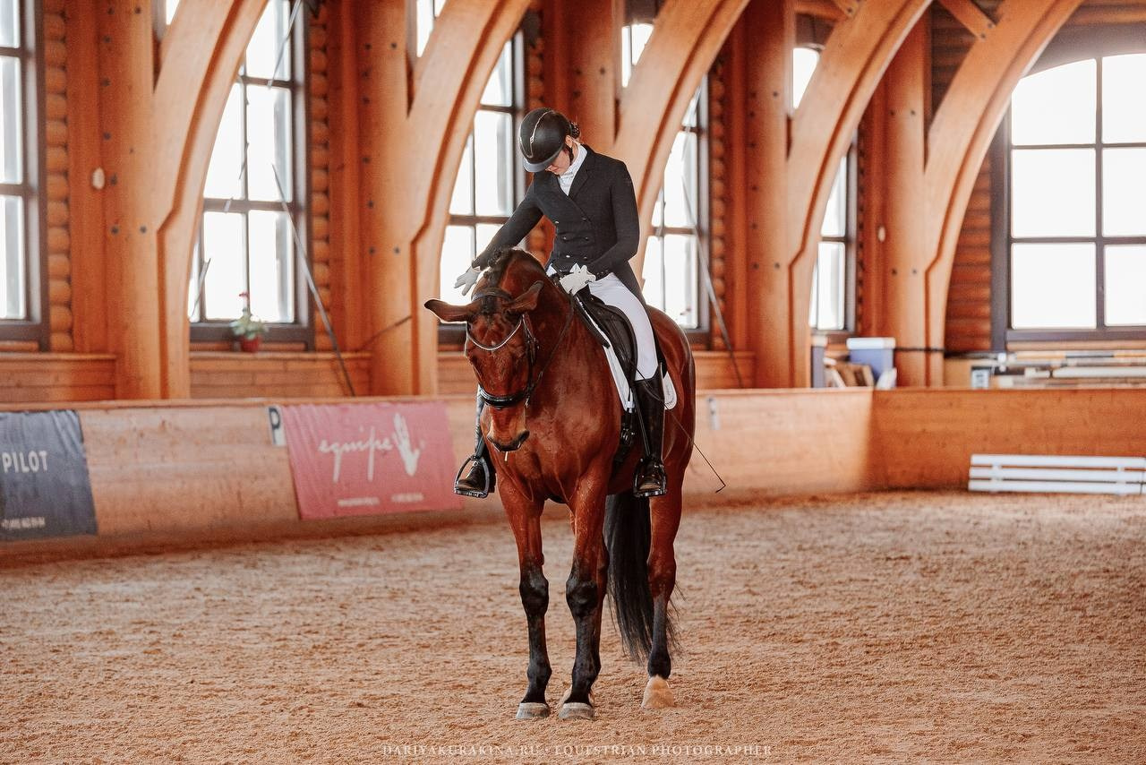 СОРЕВНОВАНИЯ КУБОК КСК «ПЕГАС» ПО ВЫЕЗДКЕ. Куракина Дарья • Конный фотограф