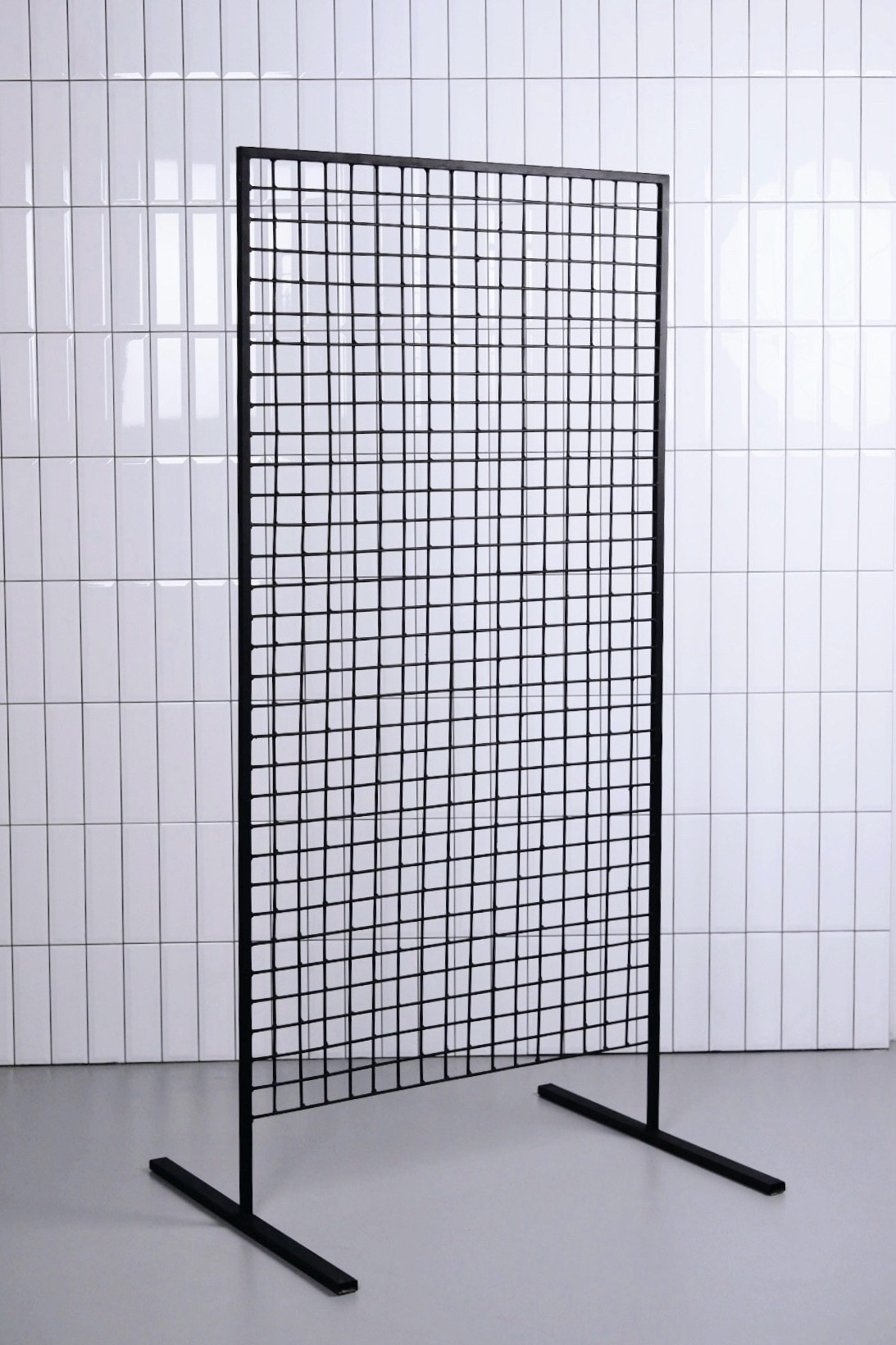 Circle / «Ньютон»