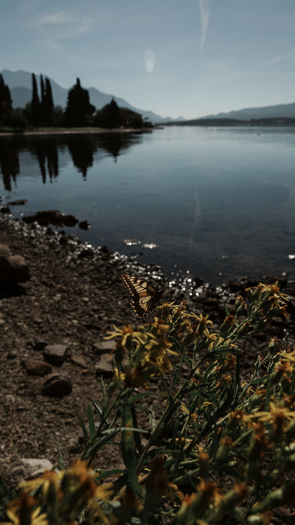 Парк Жупа город Тиват. Портретный фотограф, контент фотограф, продающие фото в Москве и МО