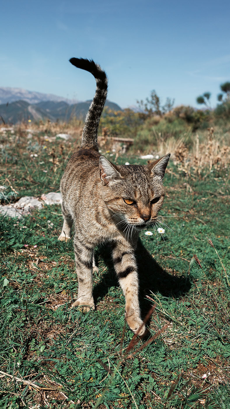 Монастырь Острог и дорога к нему. Портретный фотограф, контент фотограф, продающие фото в Москве и МО