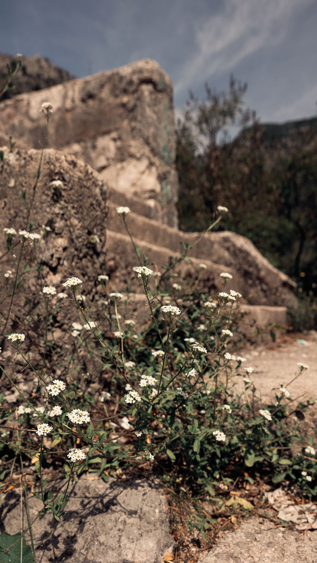 Рисан и Пераст. Портретный фотограф, контент фотограф, продающие фото в Москве и МО