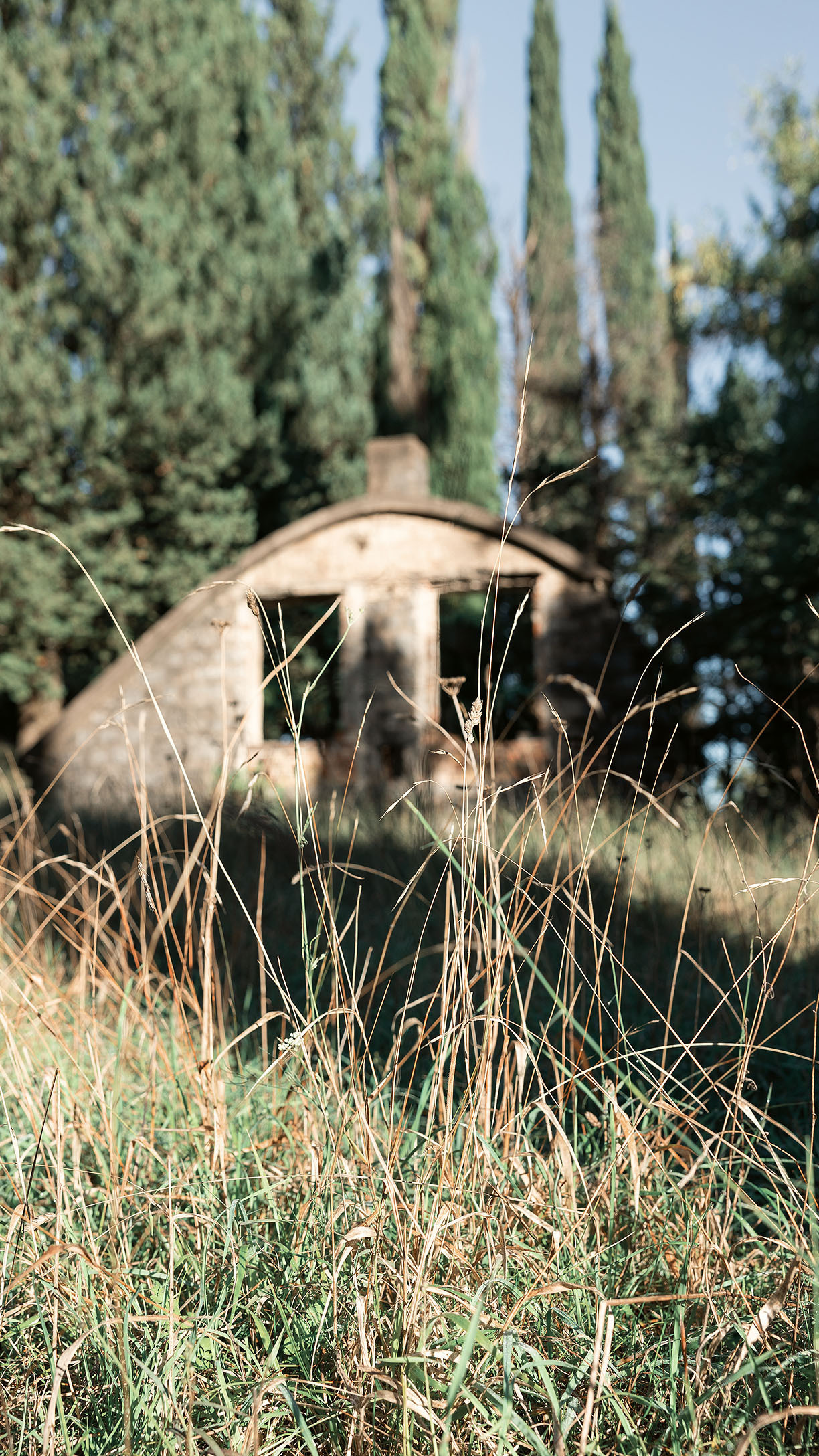 Парк Жупа город Тиват. Портретный фотограф, контент фотограф, продающие фото в Москве и МО