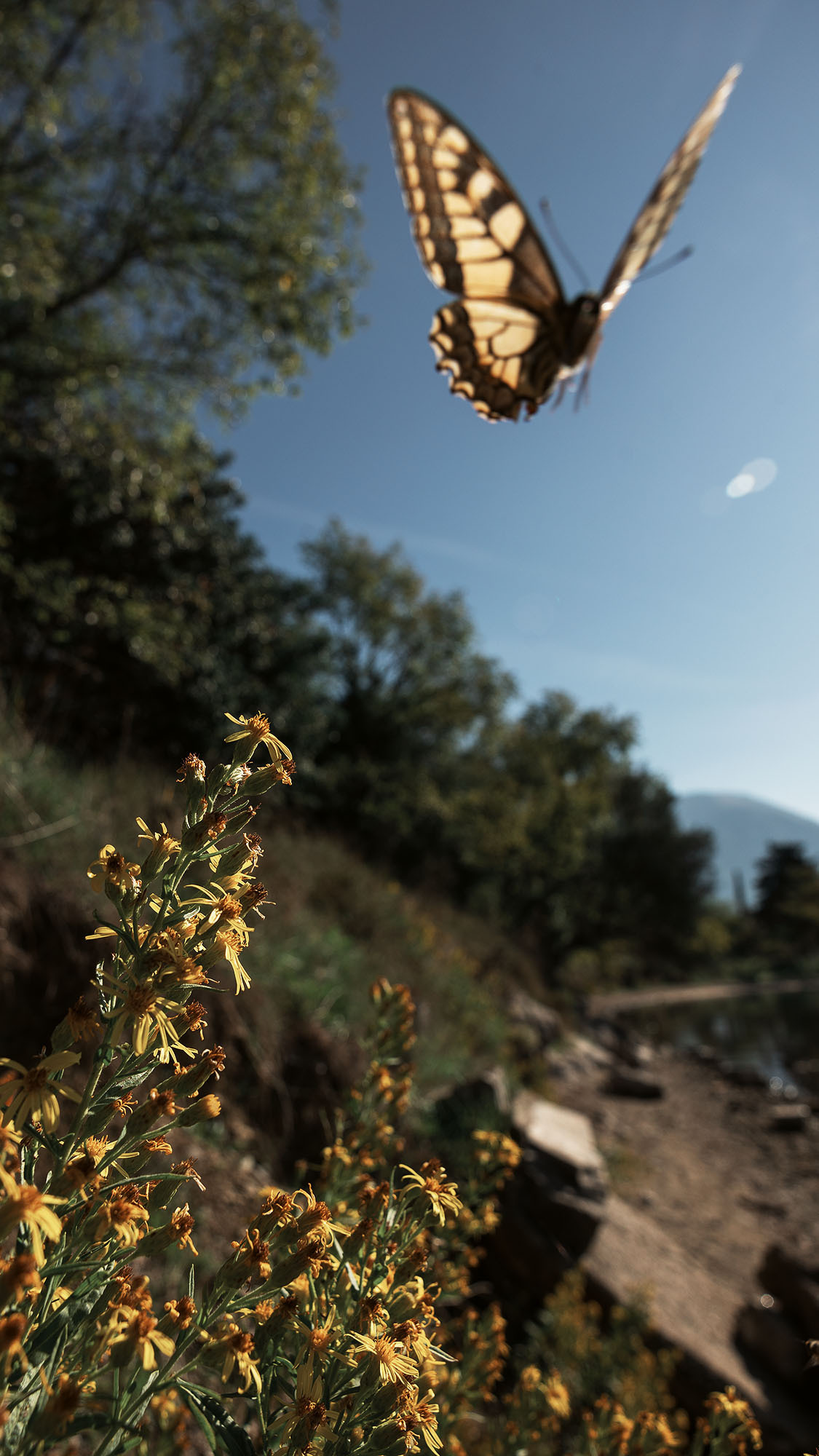 Парк Жупа город Тиват. Портретный фотограф, контент фотограф, продающие фото в Москве и МО