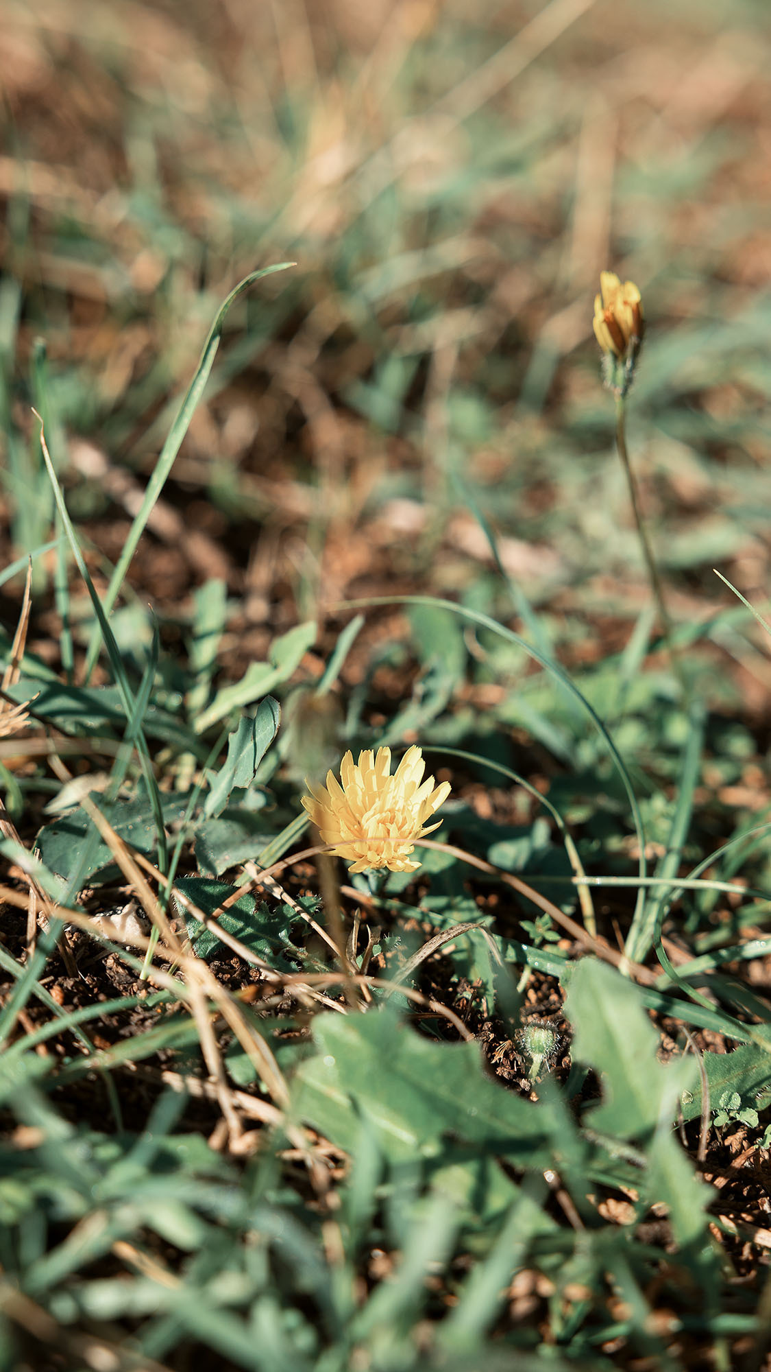 Парк Жупа город Тиват. Портретный фотограф, контент фотограф, продающие фото в Москве и МО