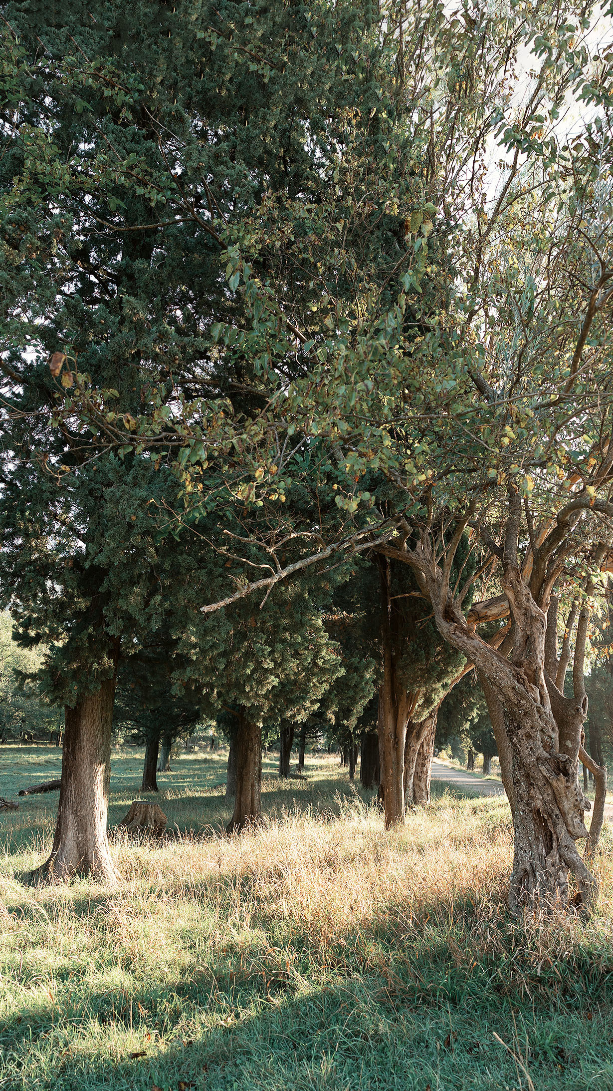Парк Жупа город Тиват. Портретный фотограф, контент фотограф, продающие фото в Москве и МО