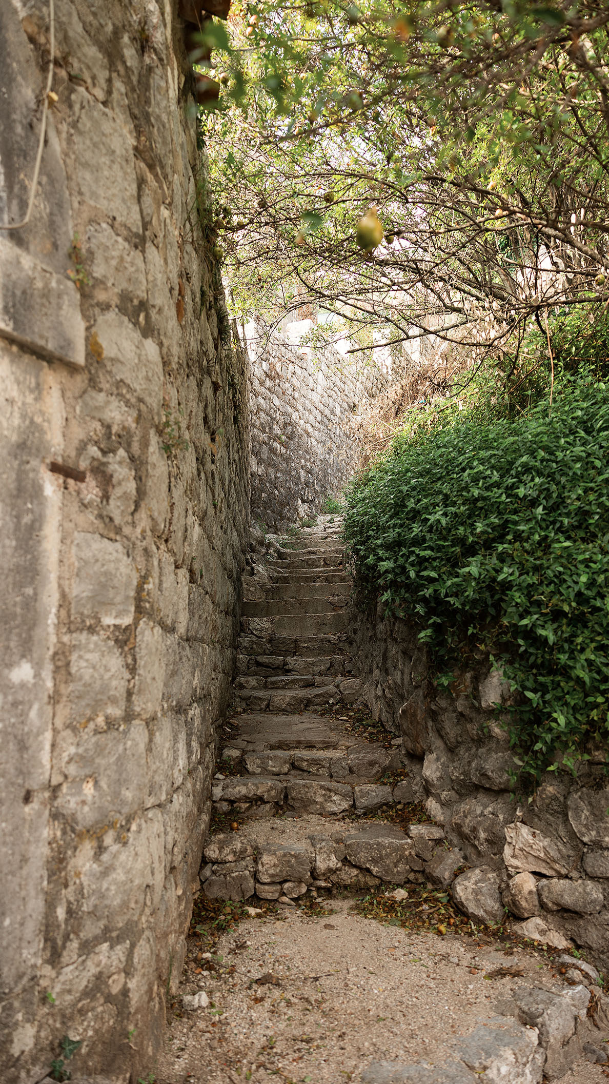 Рисан и Пераст. Портретный фотограф, контент фотограф, продающие фото в Москве и МО