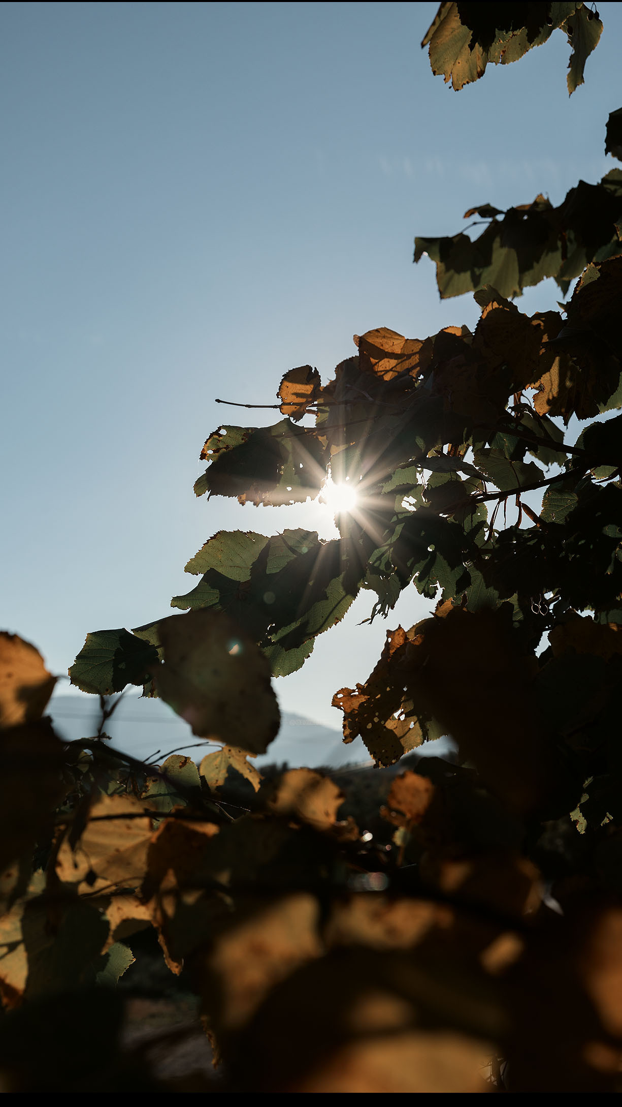 Монастырь Острог и дорога к нему. Портретный фотограф, контент фотограф, продающие фото в Москве и МО