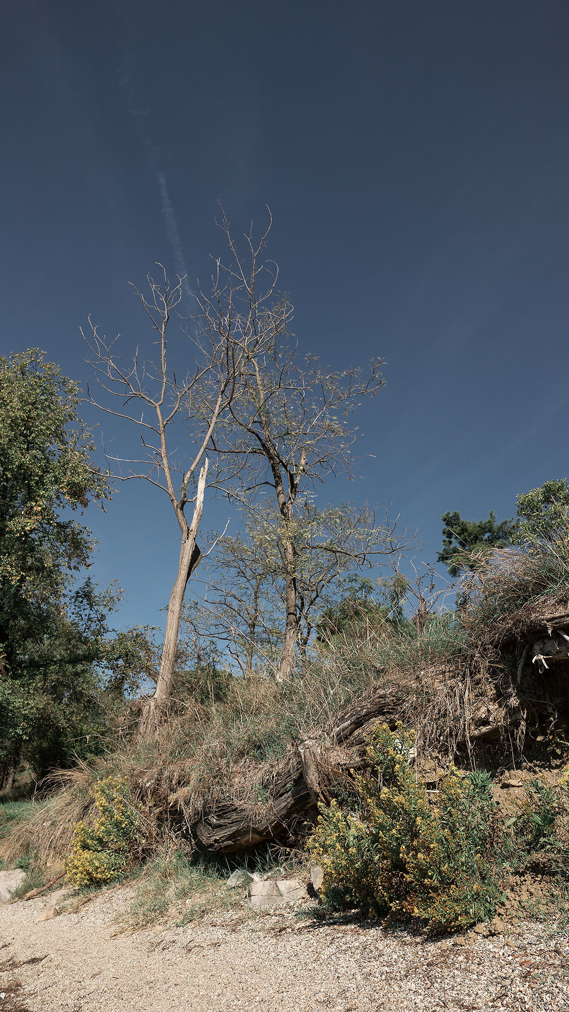 Парк Жупа город Тиват. Портретный фотограф, контент фотограф, продающие фото в Москве и МО