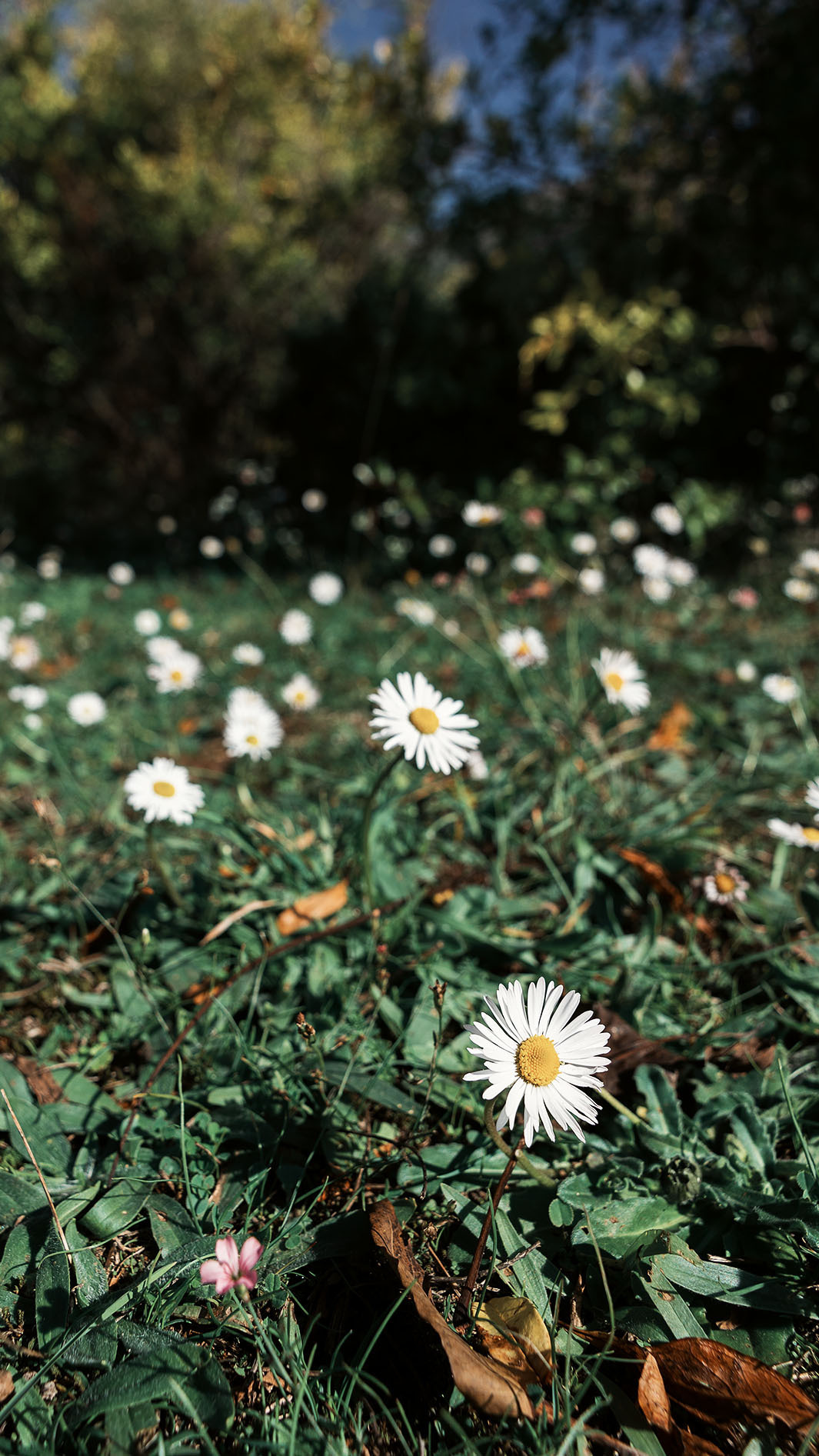 Монастырь Острог и дорога к нему. Портретный фотограф, контент фотограф, продающие фото в Москве и МО