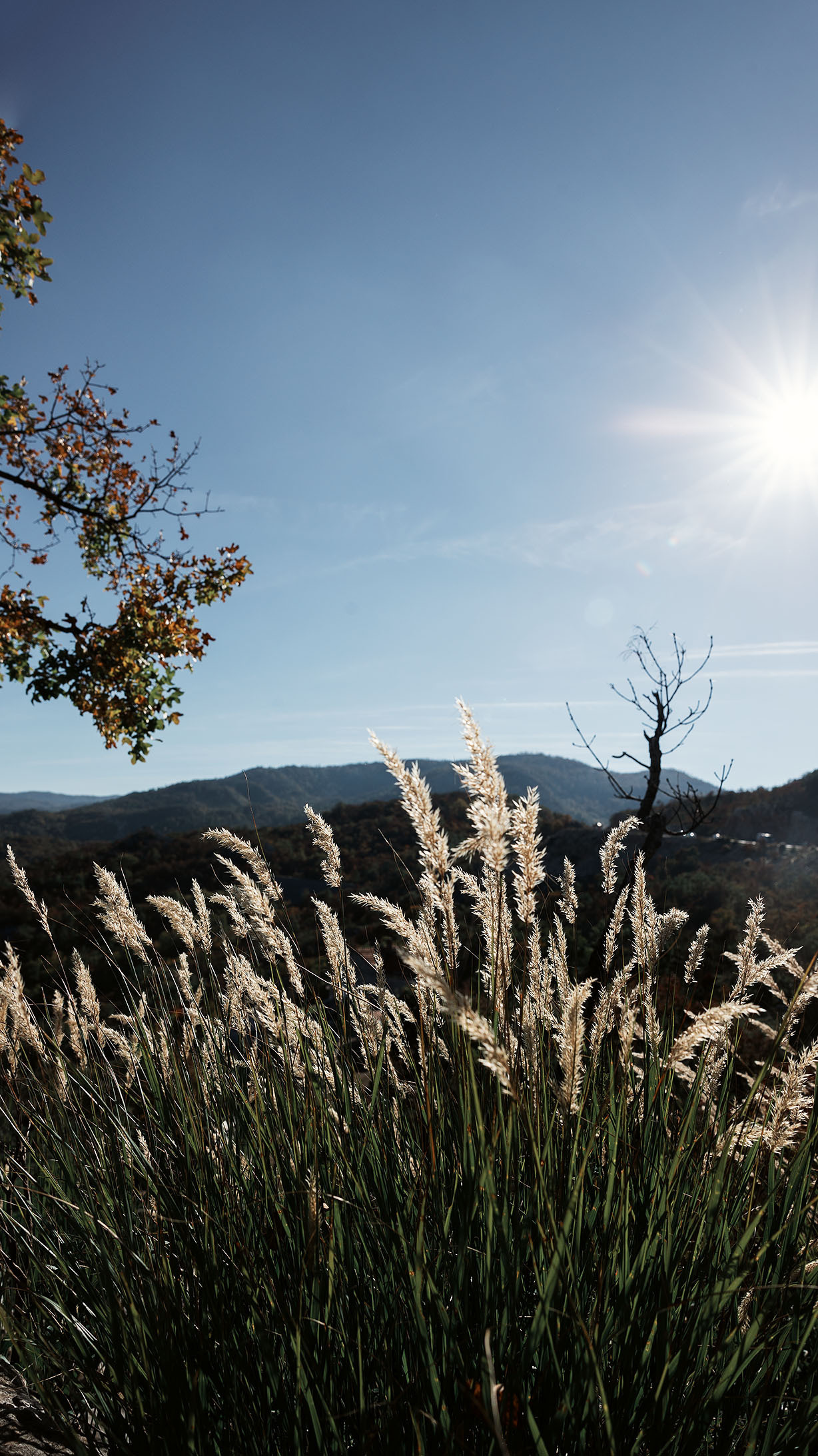 Монастырь Острог и дорога к нему. Портретный фотограф, контент фотограф, продающие фото в Москве и МО