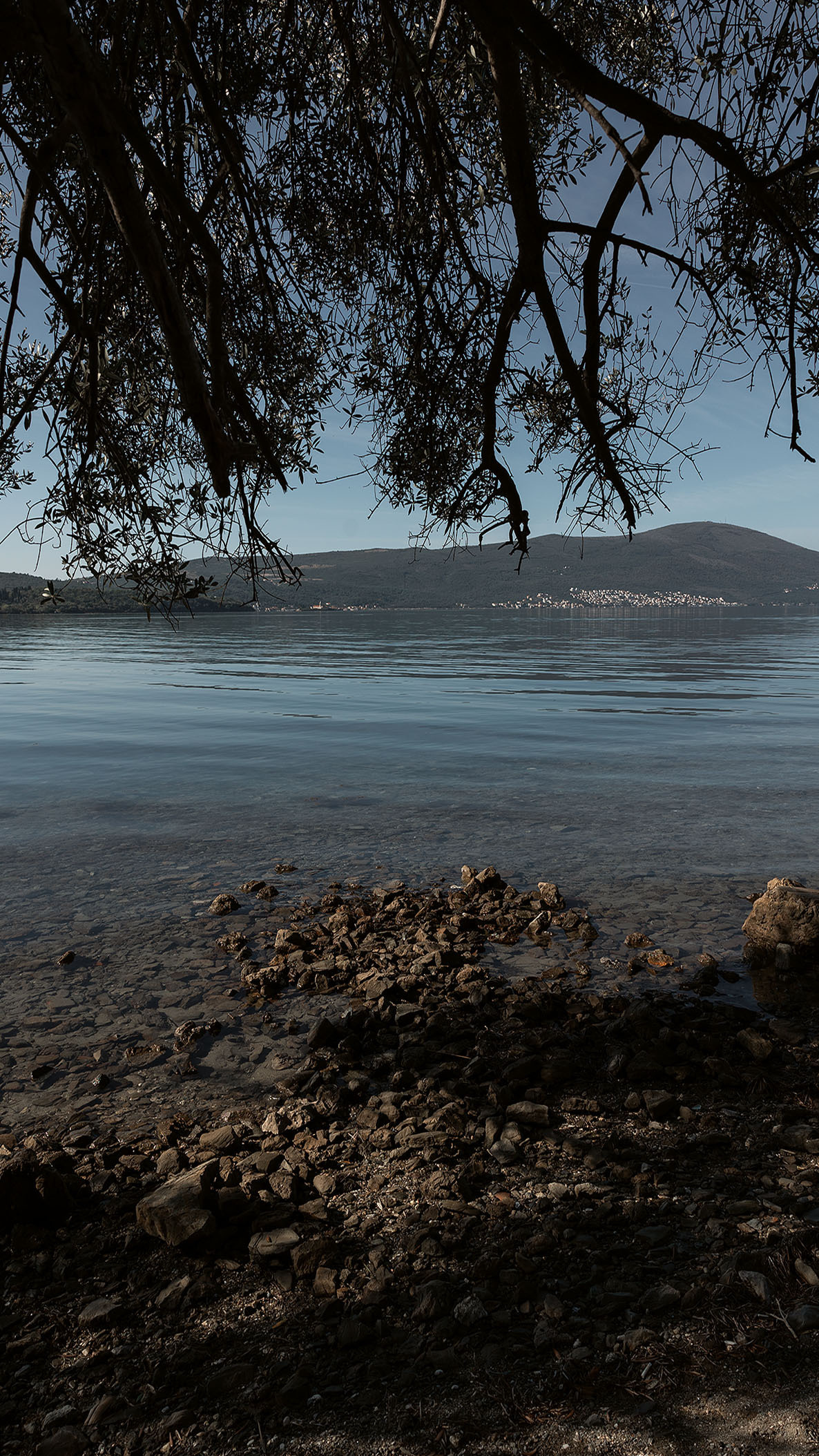 Парк Жупа город Тиват. Портретный фотограф, контент фотограф, продающие фото в Москве и МО