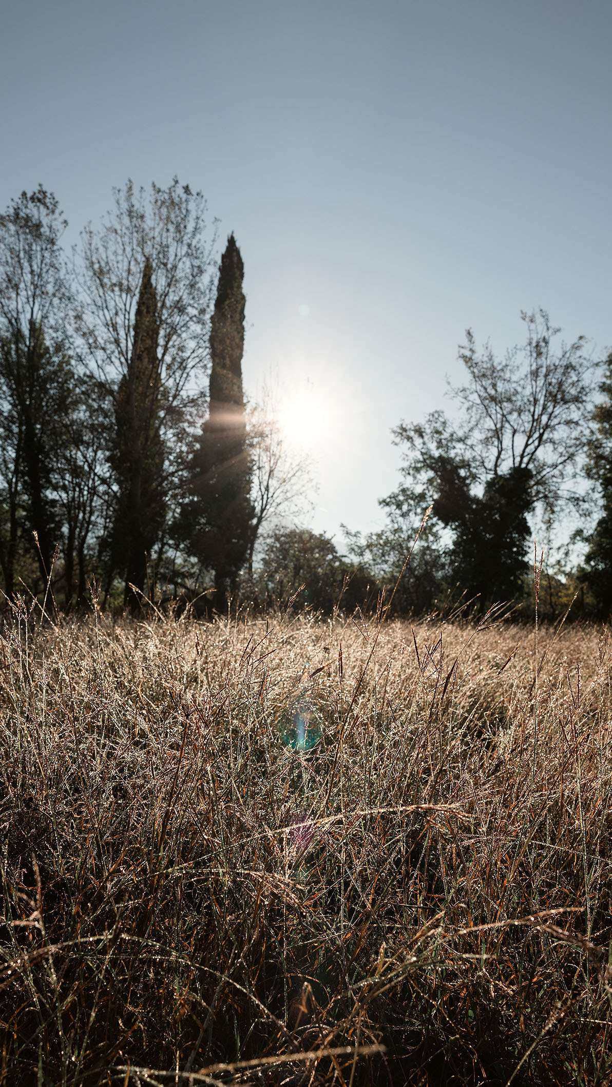 Парк Жупа город Тиват. Портретный фотограф, контент фотограф, продающие фото в Москве и МО