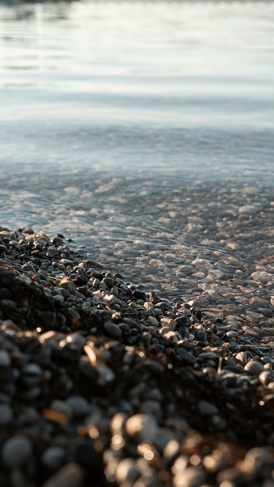 Парк Жупа город Тиват. Портретный фотограф, контент фотограф, продающие фото в Москве и МО