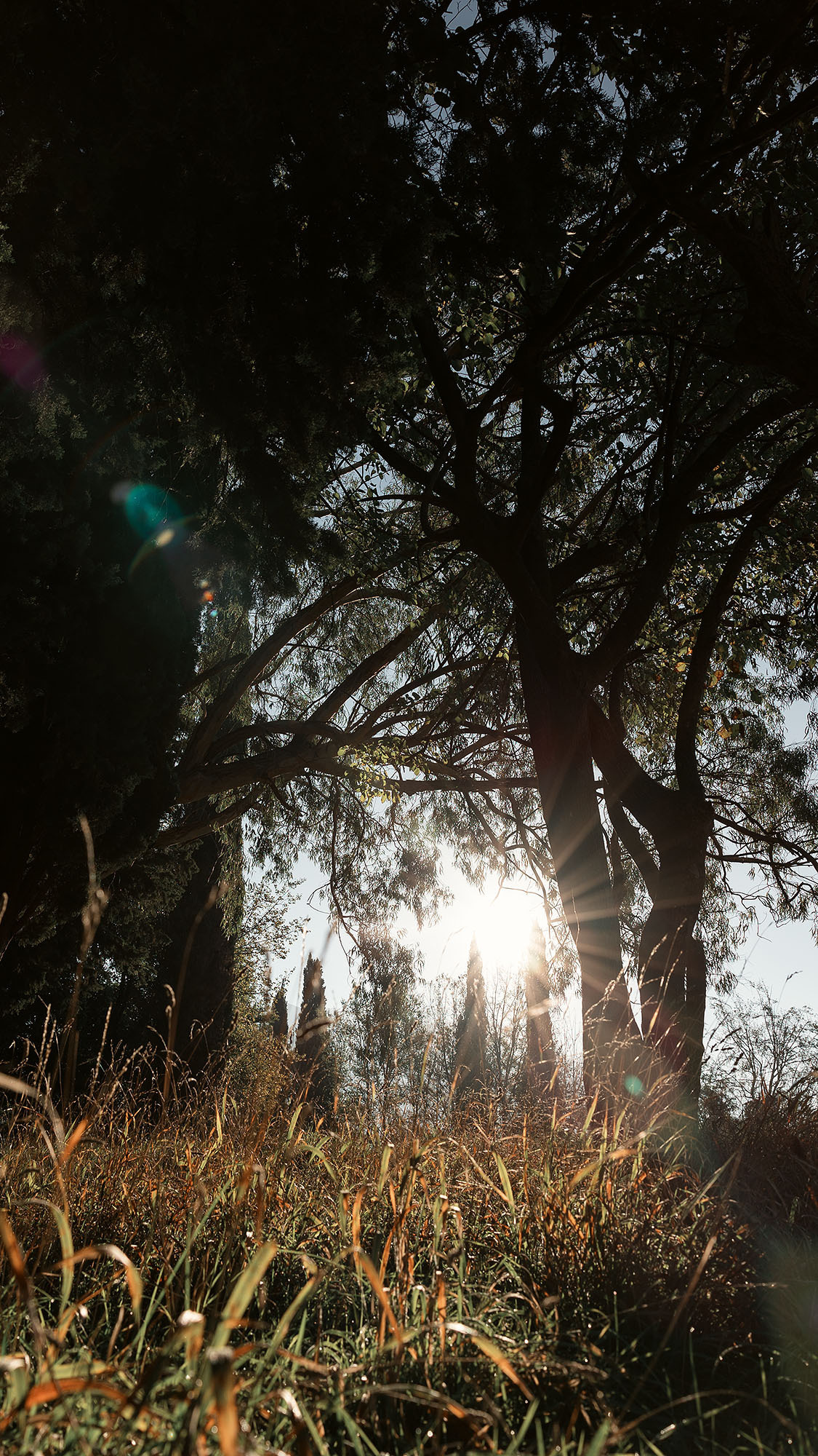 Парк Жупа город Тиват. Портретный фотограф, контент фотограф, продающие фото в Москве и МО