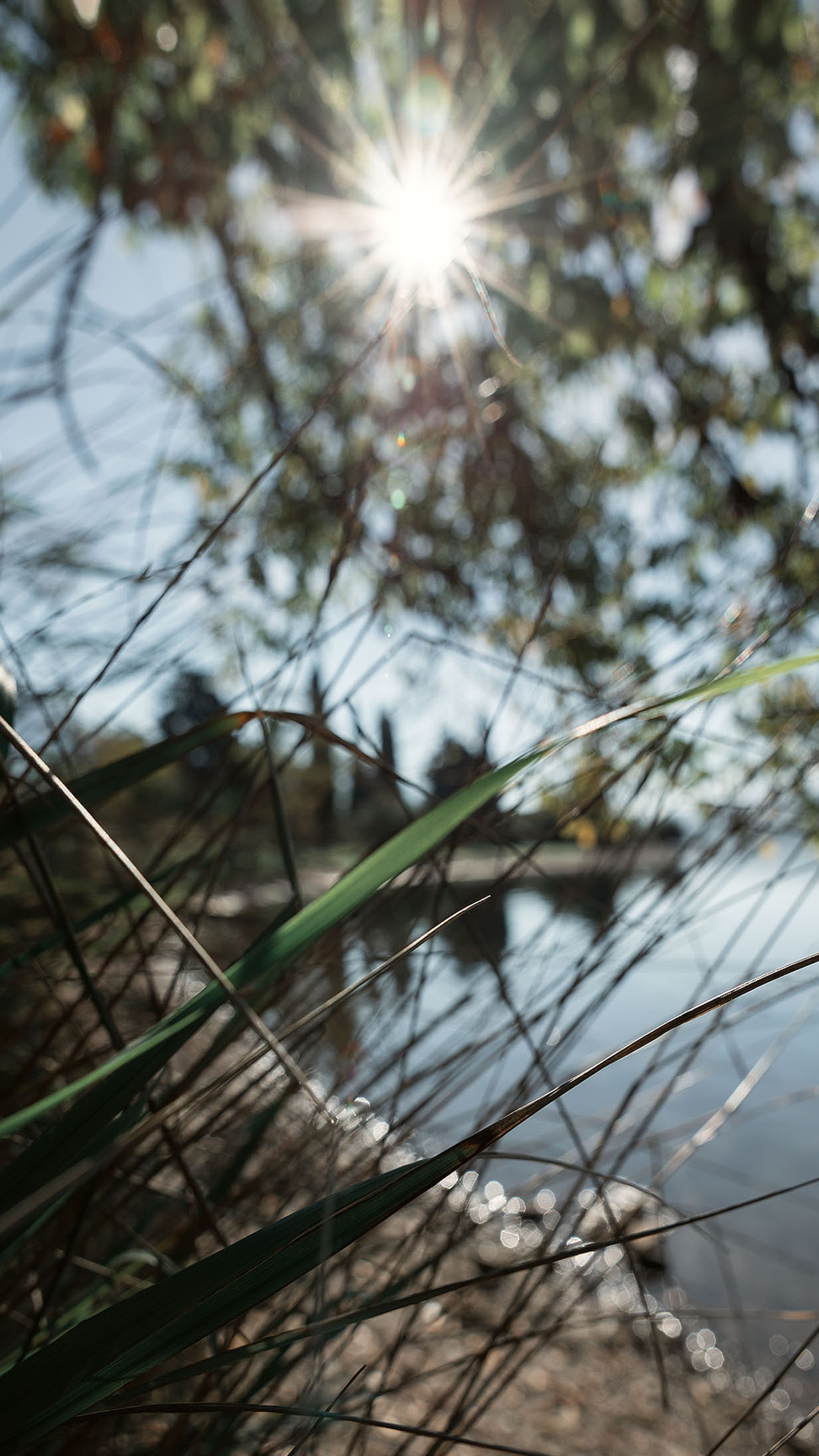 Парк Жупа город Тиват. Портретный фотограф, контент фотограф, продающие фото в Москве и МО