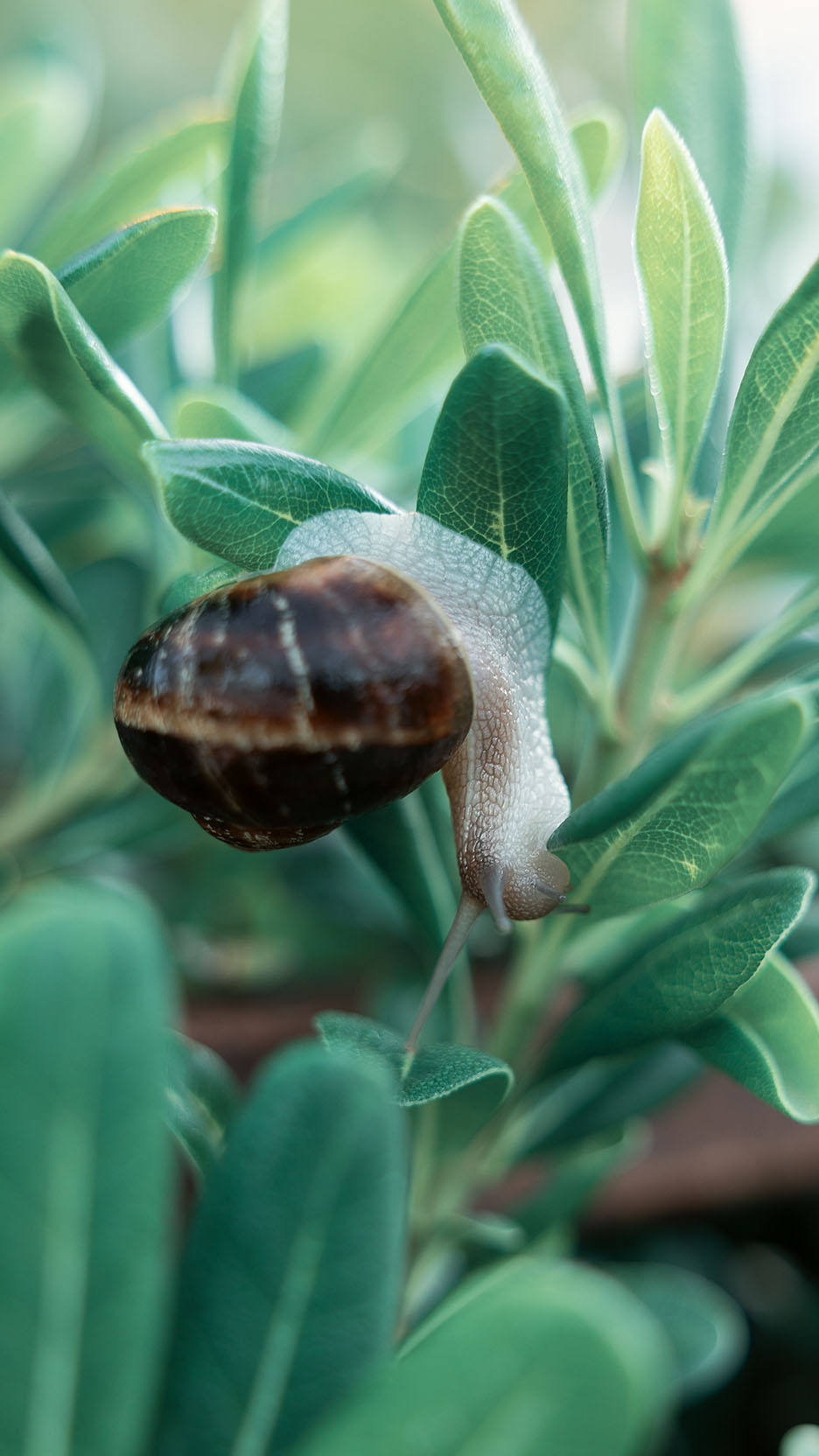 Парк Жупа город Тиват. Портретный фотограф, контент фотограф, продающие фото в Москве и МО