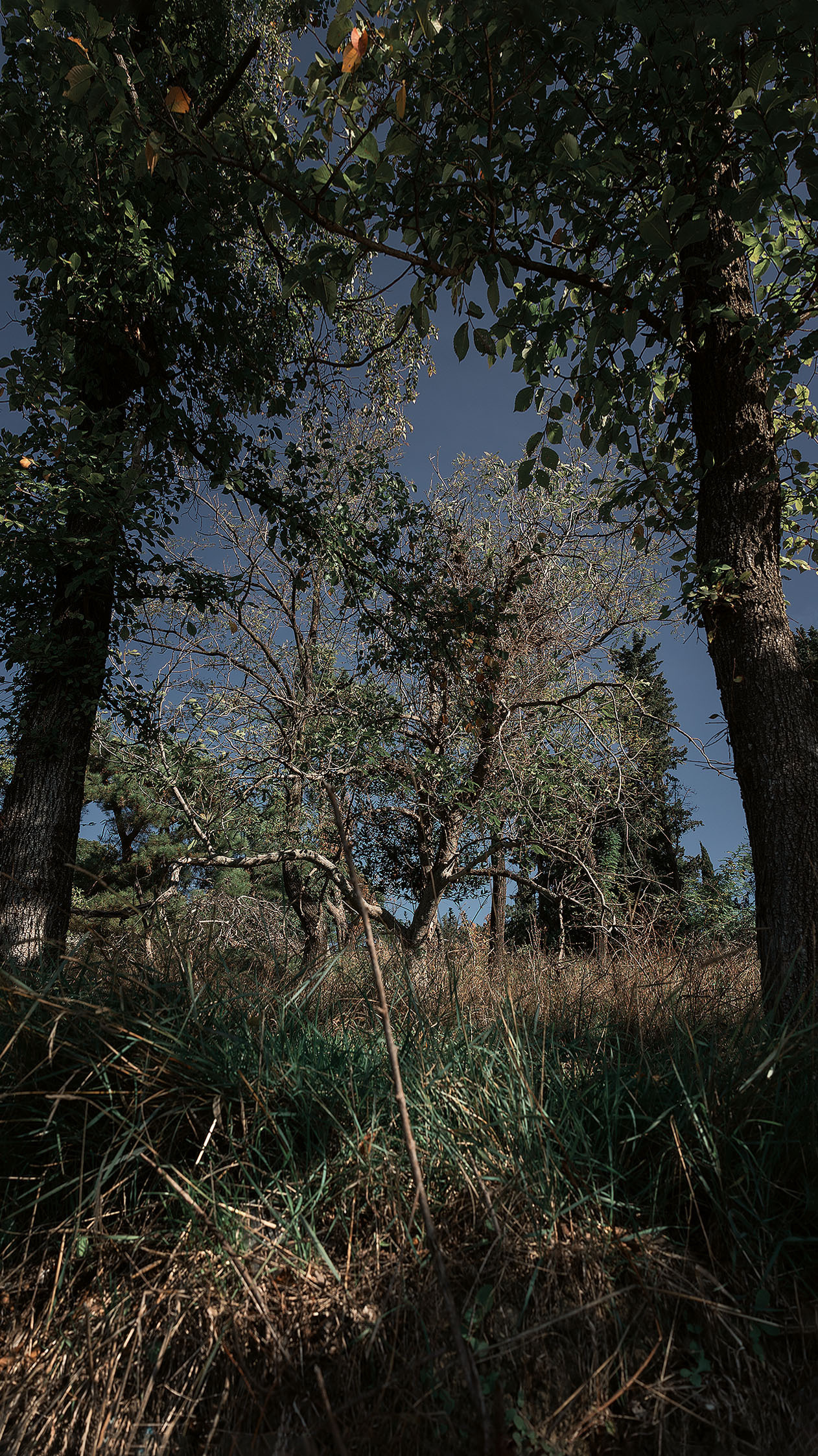 Парк Жупа город Тиват. Портретный фотограф, контент фотограф, продающие фото в Москве и МО