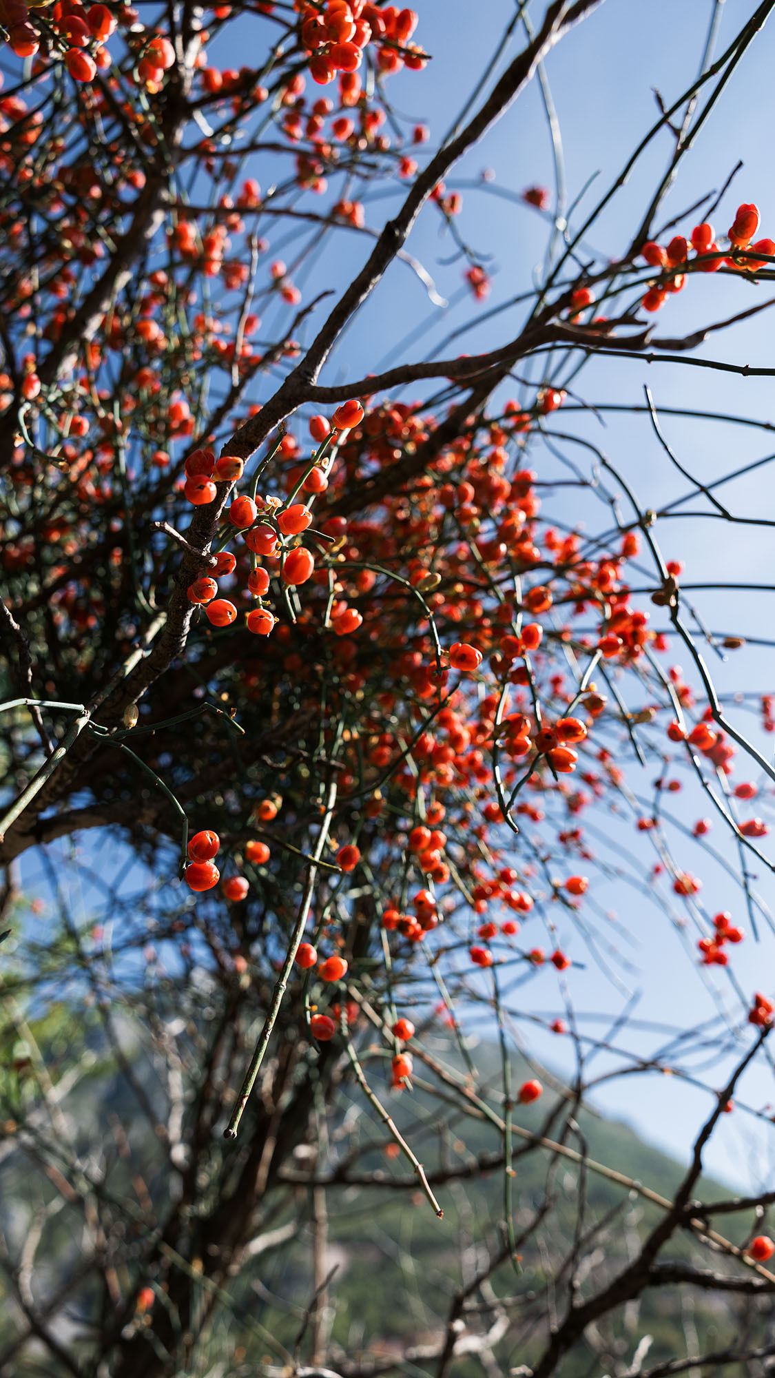 Монастырь Острог и дорога к нему. Портретный фотограф, контент фотограф, продающие фото в Москве и МО