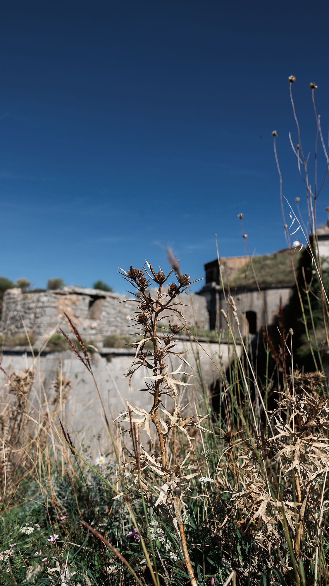 Монастырь Острог и дорога к нему. Портретный фотограф, контент фотограф, продающие фото в Москве и МО