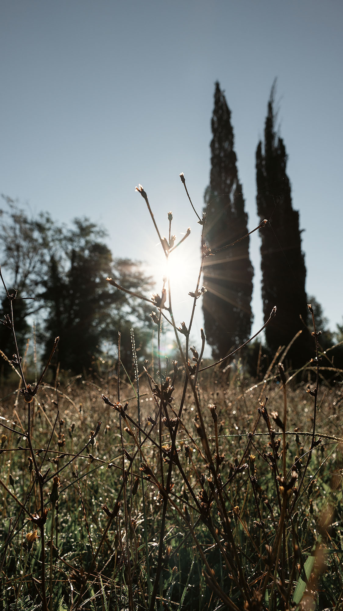 Парк Жупа город Тиват. Портретный фотограф, контент фотограф, продающие фото в Москве и МО
