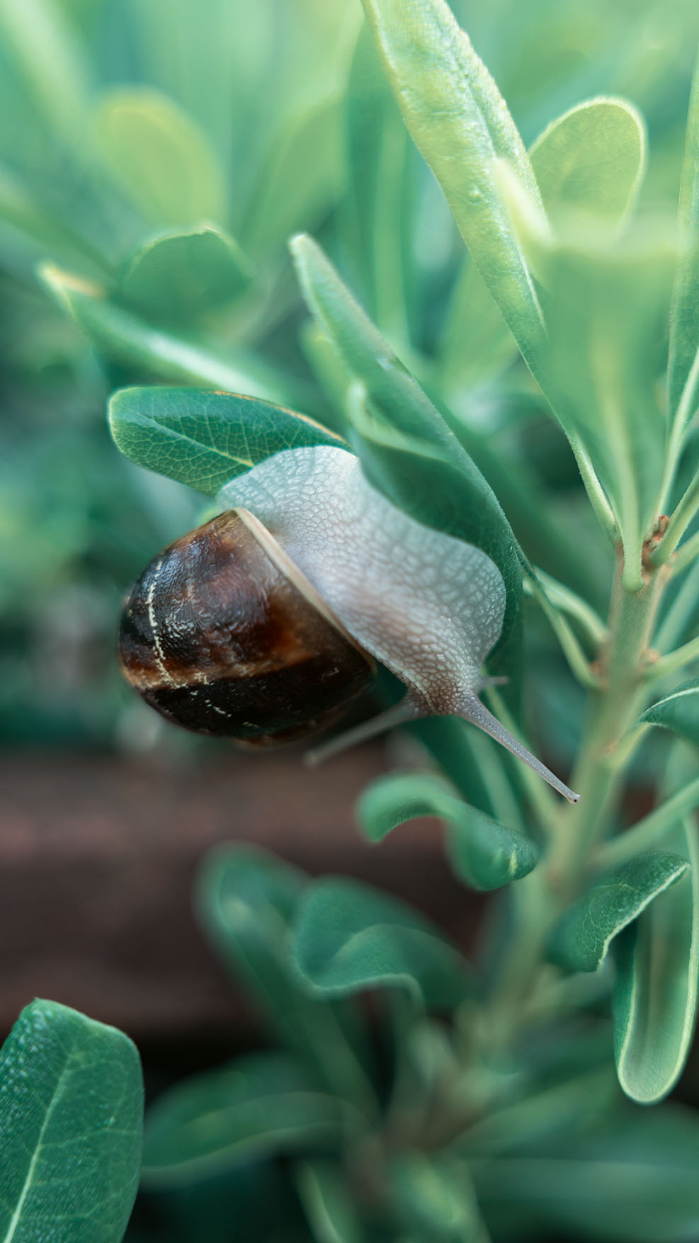 Парк Жупа город Тиват. Портретный фотограф, контент фотограф, продающие фото в Москве и МО